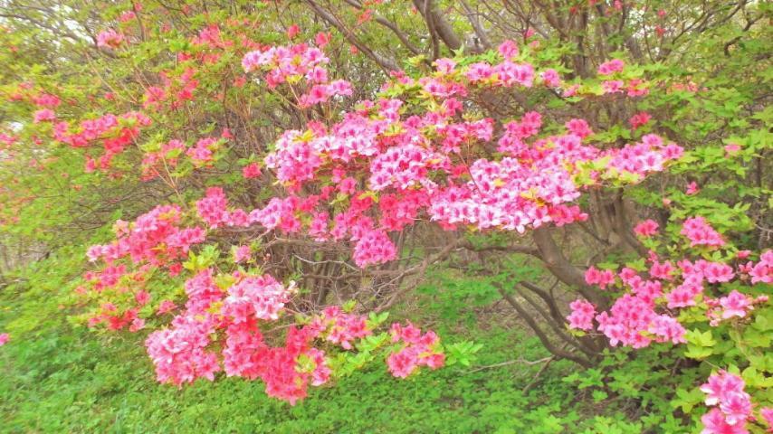 Kadoya Ryokan Насушиобара Екстериор снимка